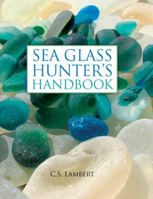 Cover of the book The Sea Glass Hunter's Handbook by Janice Spaulding
