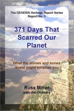Cover of the book 371 Days That Scarred Our Planet by J. Dwight Dobkins
