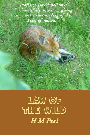 Cover of the book Law of the Wild by John Amis