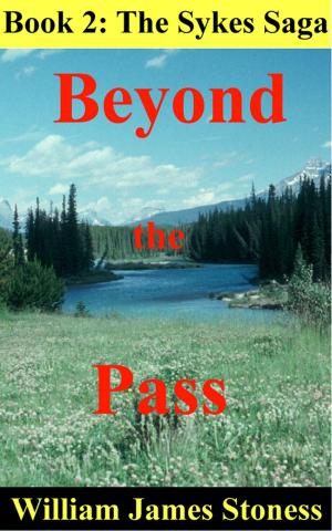 Book cover of Beyond the Pass