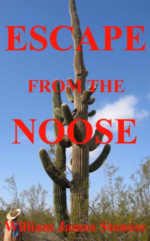 Book cover of Escape From the Noose