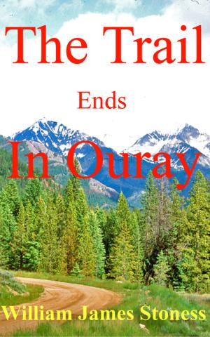 bigCover of the book The Trail Ends In Ouray by 