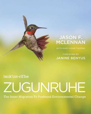 Book cover of Zugunruhe