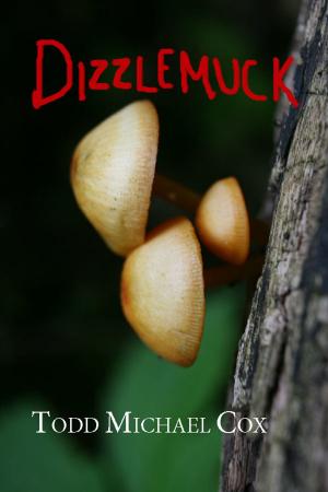 Book cover of Dizzlemuck