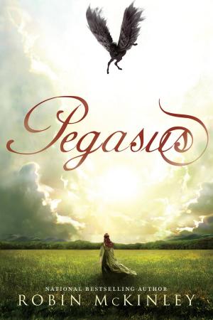 Cover of the book Pegasus by Roberta Edwards, Who HQ