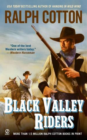 Book cover of Black Valley Riders