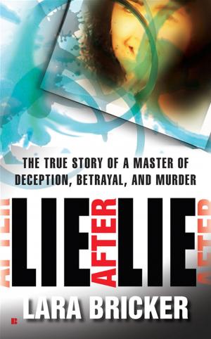 Cover of the book Lie After Lie by Ken Rossignol