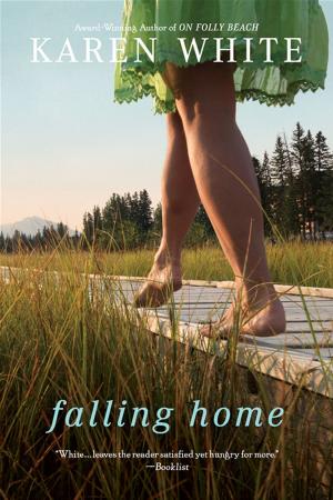 Cover of the book Falling Home by Mitra Rahbar