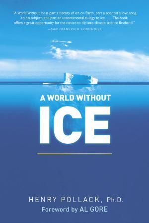 Cover of the book A World Without Ice by Daniel J. Siegel, MD