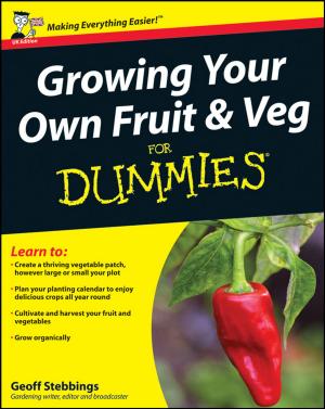 Cover of the book Growing Your Own Fruit and Veg For Dummies by Theo Gevers, Arjan Gijsenij, Joost van de Weijer, Jan-Mark Geusebroek