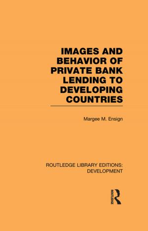 Cover of the book Images and Behaviour of Private Bank Lending to Developing Countries by Stephan Cohen