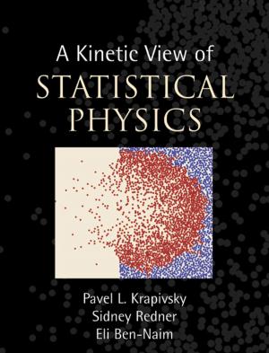 Cover of the book A Kinetic View of Statistical Physics by M. F. Burnyeat