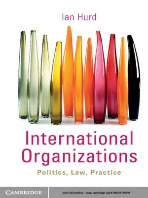 Cover of the book International Organizations by James Raymond Vreeland, Axel Dreher
