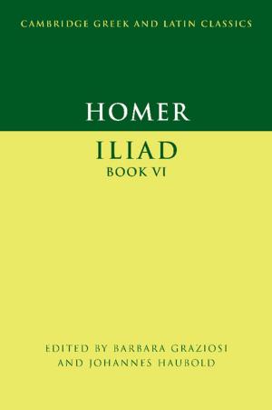 Cover of the book Homer: Iliad Book VI by Donald A. Gurnett, Amitava Bhattacharjee