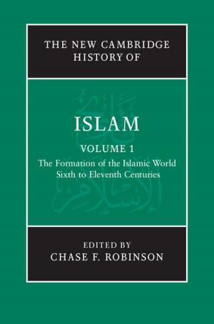Cover of the book The New Cambridge History of Islam: Volume 1, The Formation of the Islamic World, Sixth to Eleventh Centuries by Alvin E. Roth, Marilda A. Oliveira Sotomayor