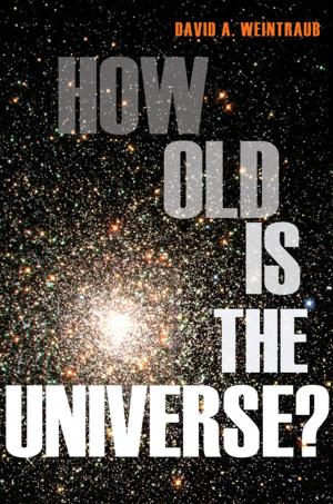 Cover of the book How Old Is the Universe? by Robert J. Shiller