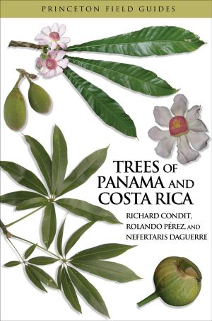 Cover of the book Trees of Panama and Costa Rica by Victor Cha