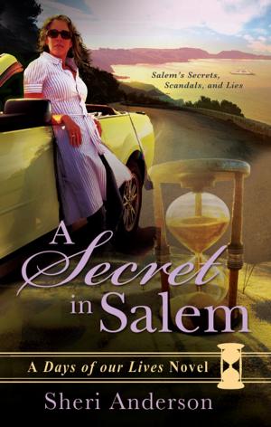 Cover of the book A Secret in Salem by Jocelyn Stover
