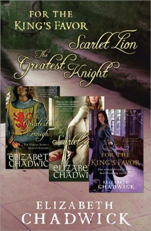 Cover of the book Elizabeth Chadwick Bundle by Tammy Barry, Frances A. Karnes, Kristen R Stephens