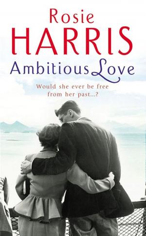 Cover of the book Ambitious Love by Laura Browning