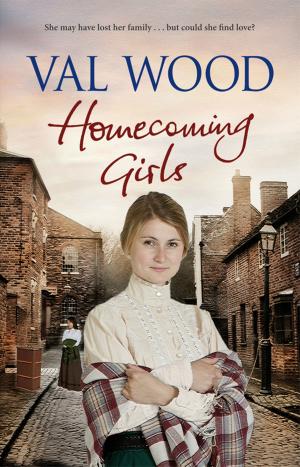 Cover of the book Homecoming Girls by Liz Lyons
