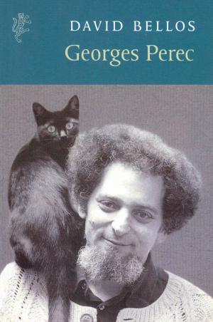 Cover of the book Georges Perec: A Life in Words by Thomas Biehl