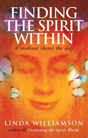 Cover of the book Finding The Spirit Within by Don Oslear