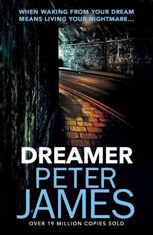 Book cover of Dreamer