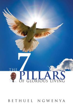 Cover of the book 7 Pillars of Glorious Living by Perry Stone