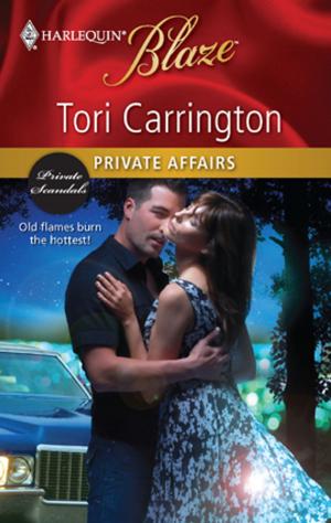 Book cover of Private Affairs