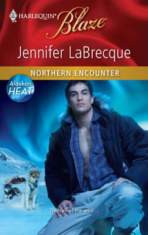Cover of the book Northern Encounter by Carole Mortimer