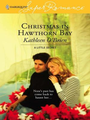Cover of the book Christmas in Hawthorn Bay by Amanda Stevens