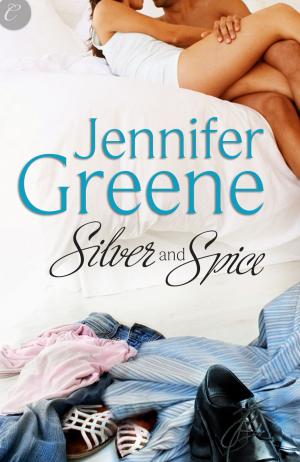 Cover of the book Silver and Spice by Michelle Witvliet