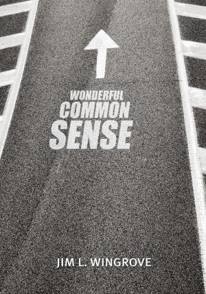 Cover of the book Wonderful Common Sense by Doris R. Parker-Newton