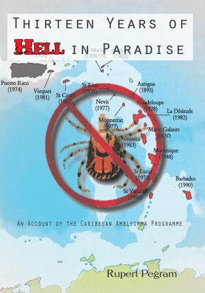 Cover of the book Thirteen Years of Hell in Paradise by M.S. Johnson
