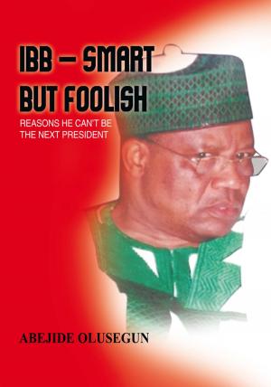Cover of the book Ibb – Smart but Foolish by James P. Crook