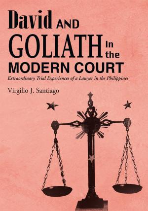 Cover of the book David and Goliath in the Modern Court by Joyce Duren