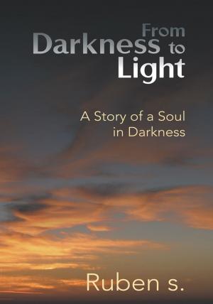 Cover of the book From Darkness to Light by James Cappleman LCSW