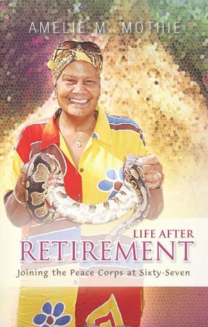 Book cover of Life After Retirement