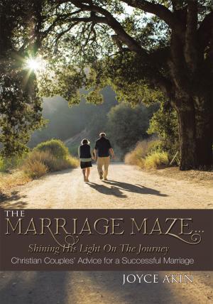 Cover of the book The Marriage Maze... Shining His Light on the Journey by Violet Grayson