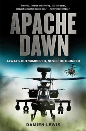 Cover of the book Apache Dawn by Wendy Walker
