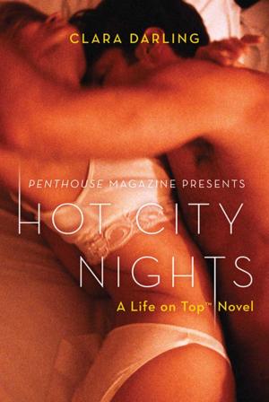 Cover of the book Hot City Nights by Amanda Bora
