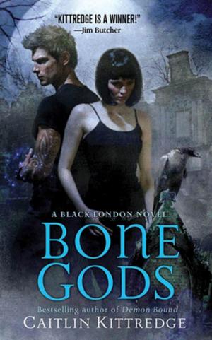 Cover of the book Bone Gods by Rett MacPherson