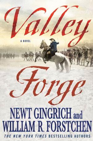 Cover of the book Valley Forge by Barbara Taylor Bradford
