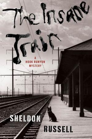 Book cover of The Insane Train