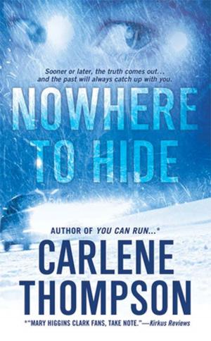 Cover of the book Nowhere to Hide by JT Blundell