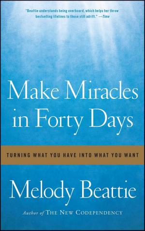 Cover of the book Make Miracles in Forty Days by Terry Ryan
