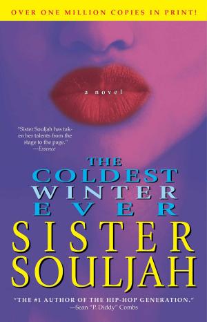 Book cover of The Coldest Winter Ever