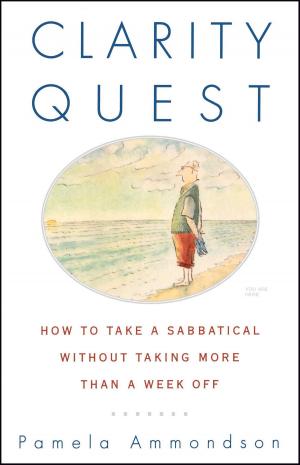 Cover of the book Clarity Quest by Buzzy Jackson