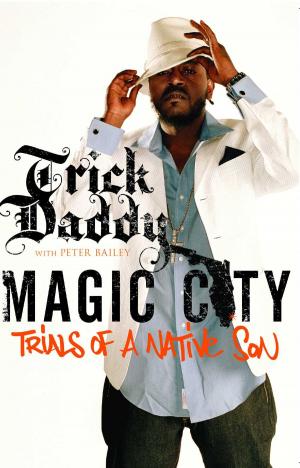 Book cover of Magic City